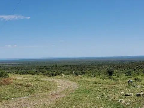 Campo - Venta - Argentina, Nogolí