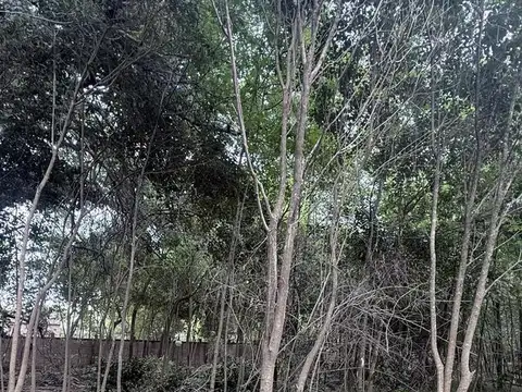 fray luis beltran y los Robles