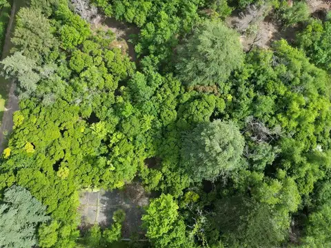 fray luis beltran y los Robles