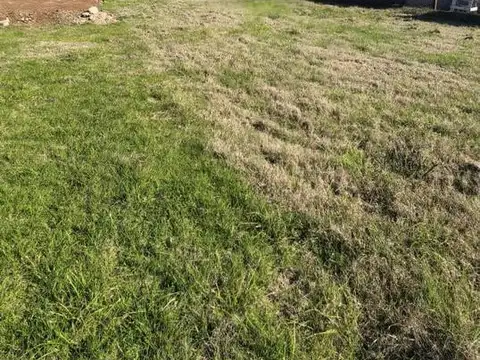Terreno en Venta 12  mts Frente