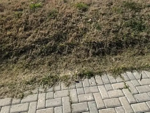 Terreno en Venta en Capilla del Señor, USD 25.000