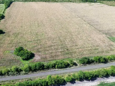Vendo Campo 22 Has en Colonia Los Ceibos Entre Ríos