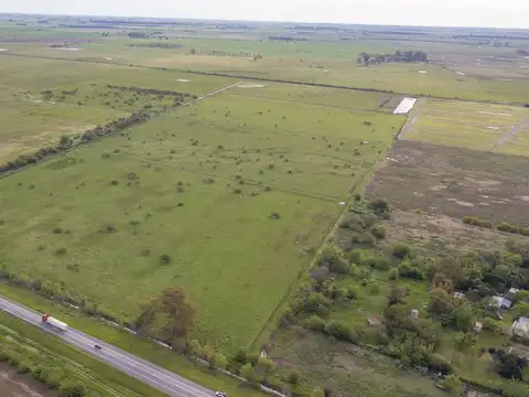 CAMPO 32 HECTAREAS EN VENTA - PIÑERO