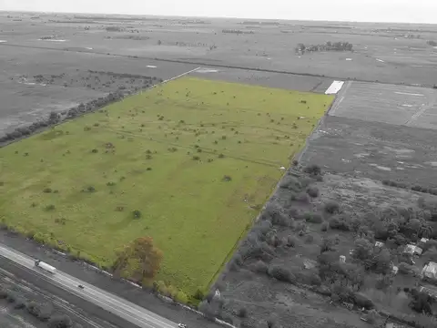 CAMPO 32 HECTAREAS EN VENTA - PIÑERO
