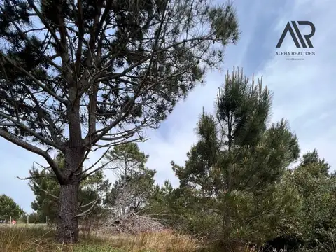 Terreno en Venta en Punta del Diablo, USD 36.900