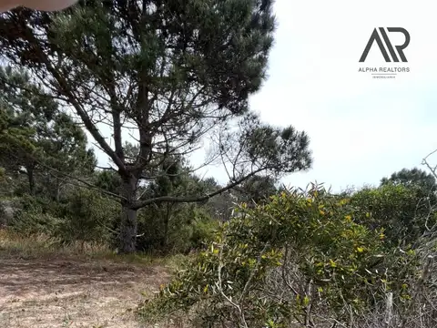 Terreno en Venta 17  mts Fondo
