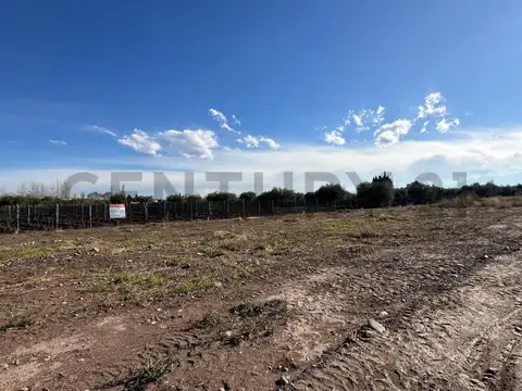 LOTES EN VENTA - POSTAL DEL PLATA