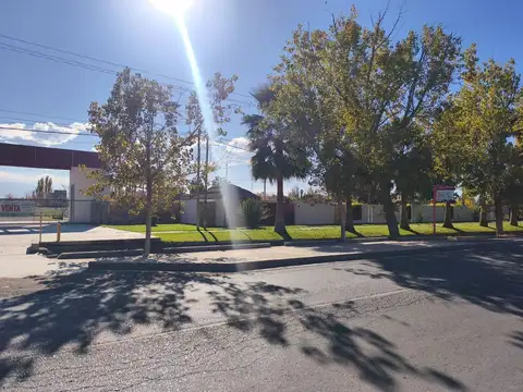 Barrio Las Palmas II