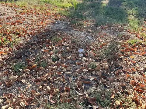 Terreno en Venta de 280,0 m2