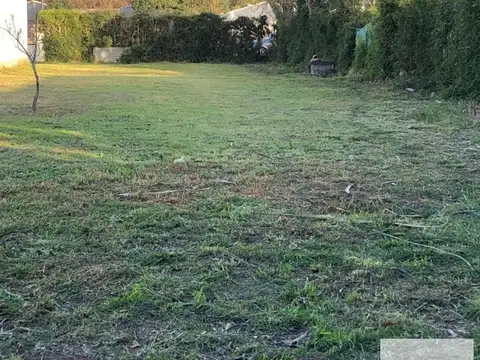Terreno en Venta 42  mts Fondo