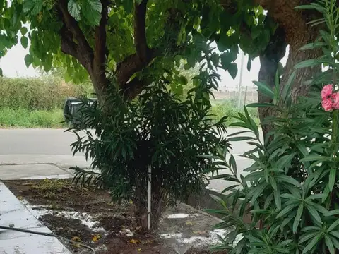 Casa en Alquiler de 4 dormitorios