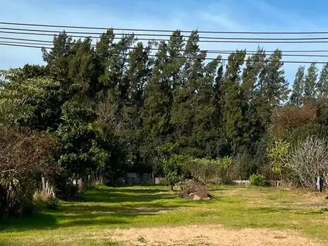 Terreno en Venta en Paysandu, USD 50.000