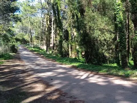 Almafuerte