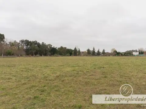 Terreno en Venta de 2275,0 m2