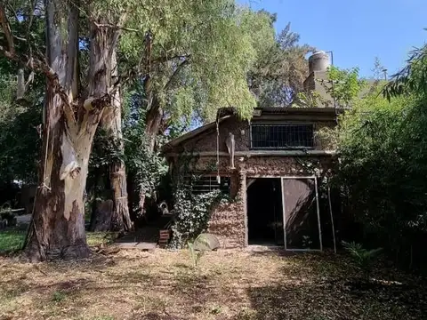 Lisandro de la Torre 5000