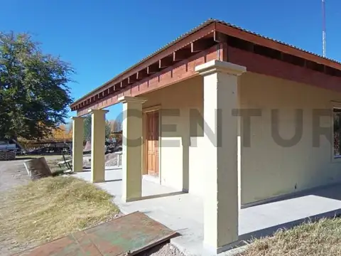 Viñedo , San Carlos , Chilecito