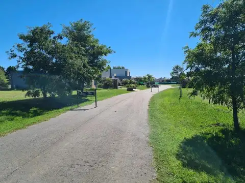 Ruta 6