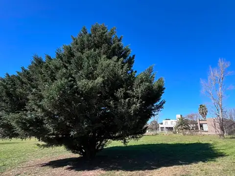 Terreno en Venta de 1507,0 m2