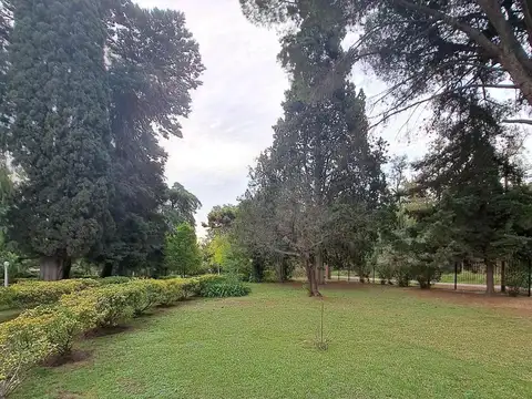 Terreno en Venta 16  mts Frente