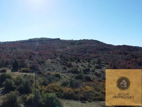Terreno en Venta 10  mts Fondo