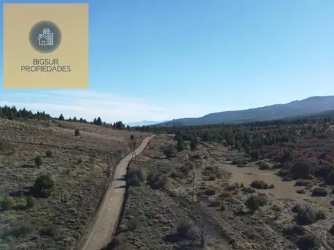 ARROYO DEL