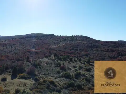 Terreno en Venta de 10000,0 m2