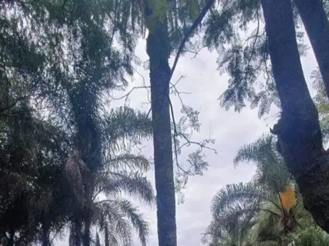 Terreno en Venta de 200000,0 m2