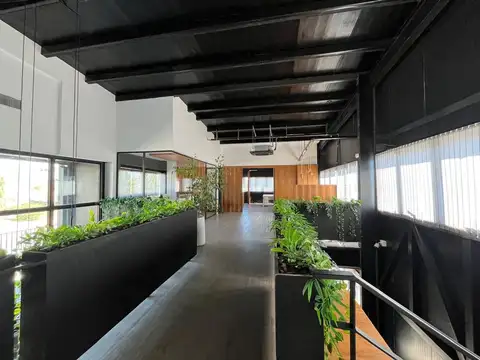 Oficina en Alquiler 1 año