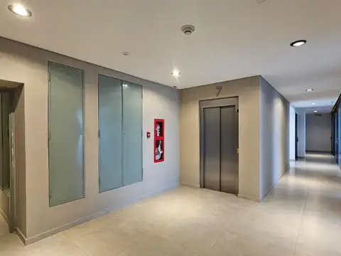 Felipe Boero Y Cervantes 100