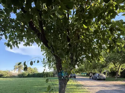 Terreno en Venta en Sinsacate, USD 35.000