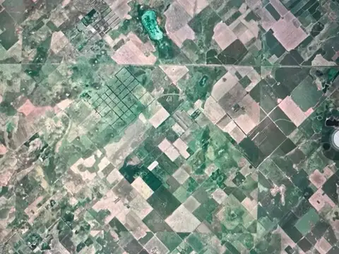 Campo - Roberts