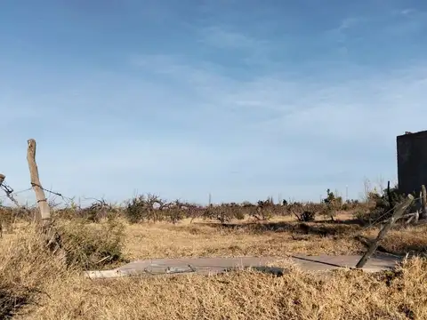 FINCA EN REAL DEL PADRE, SAN RAFAEL, MENDOZA