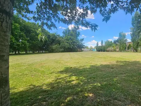 Haras San Pablo