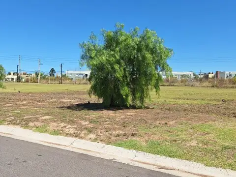 Rbs. En Venta Lote En Village Joven, Bella Vista