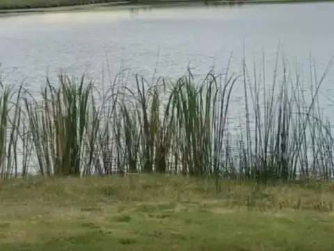 Terreno en Venta en Puertos, USD 230.000