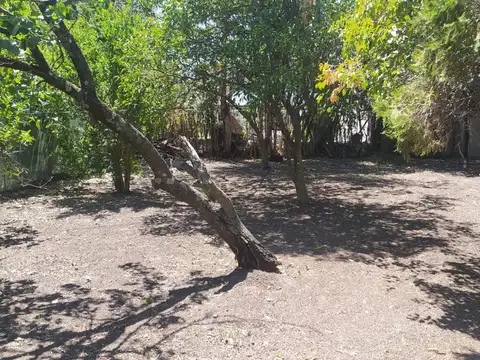 Terreno en Venta de 350,0 m2