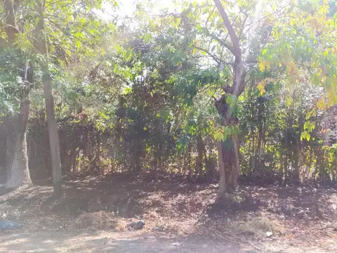 Terreno en Venta 35  mts Fondo