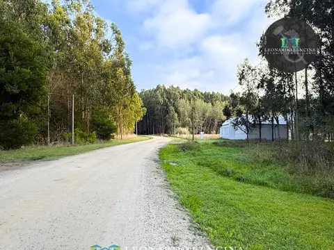 Terreno en Venta en Camet, USD 45.000
