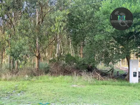 Terreno en Venta de 550,0 m2