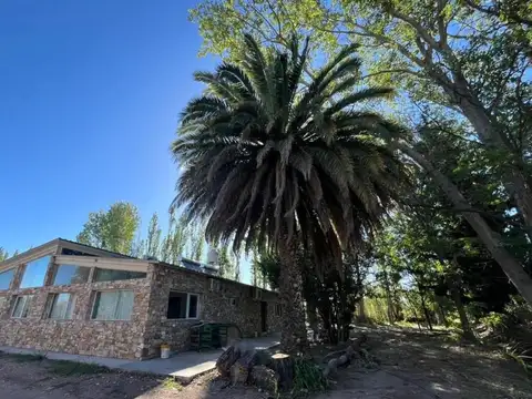 Finca en venta. Mendoza, con casa y 4 duplex. 