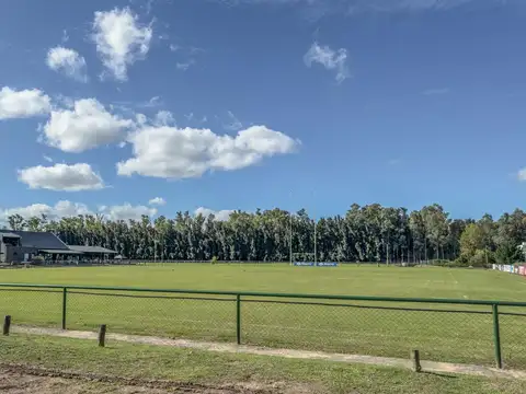 La pista  al 1600
