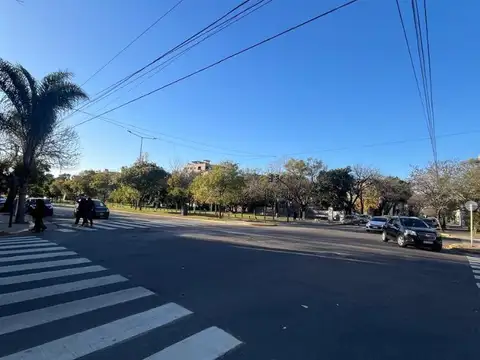 Crisólogo Larralde 4400