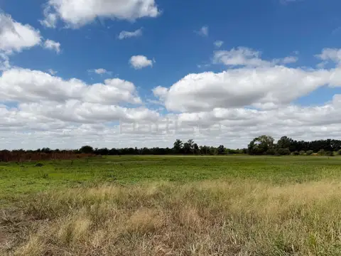 Campo - Venta - Argentina, 20 de Junio - Manuel Rico 1150