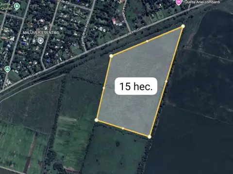 Campo - Venta - Argentina, 20 de Junio - Manuel Rico 1150