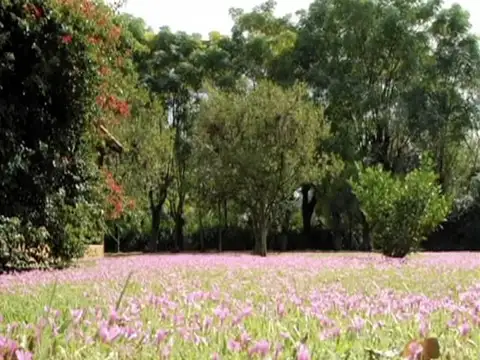 Terreno en Venta de 1350,0 m2