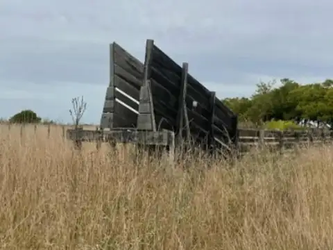Campo Mixto De 195 Hectáreas En Madariaga