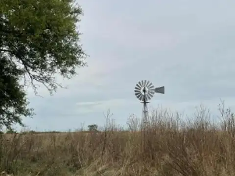 Campo Mixto De 195 Hectáreas En Madariaga
