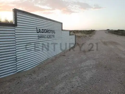 camino a las coloradas