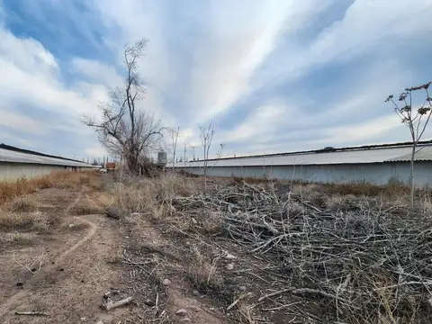 LOTE EN ZONA INDUSTRIAL DE GUAYMALLEN 8,4 Ha.