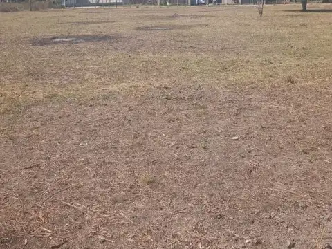 Lotes de 1000 m2, en zona norte Goya